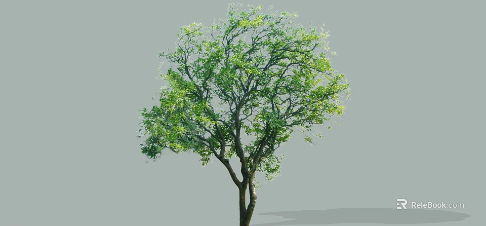 Lush Arbor Featuring Green Foliage And Thick Trunk On Gray Backdrop 3d model 