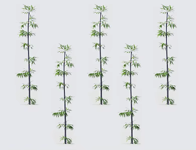 Modern bamboo 3d model