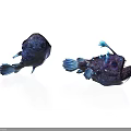 Two Purple Anglerfish with Blue Fins in 3D Rendering on White Background
