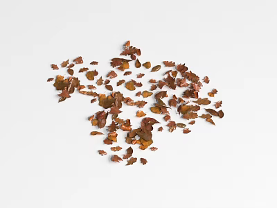 Natural Ground Cover With Brown And Orange Scattered Pieces On White Background 3d model