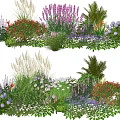 Mixed Plant Combination With Purple Red White Flowers And Green Foliage