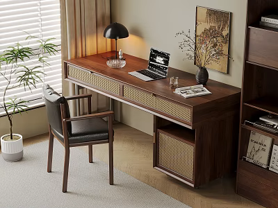 Wooden Desk with Laptop Black Lamp Vase Plants Magazines Leather Chair Bookshelf and Natural Light 3d model