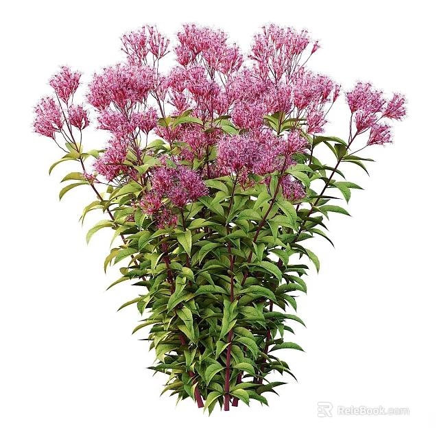 Vibrant Purple Flower Cluster With Lush Green Leaves And Stems 3d model 
