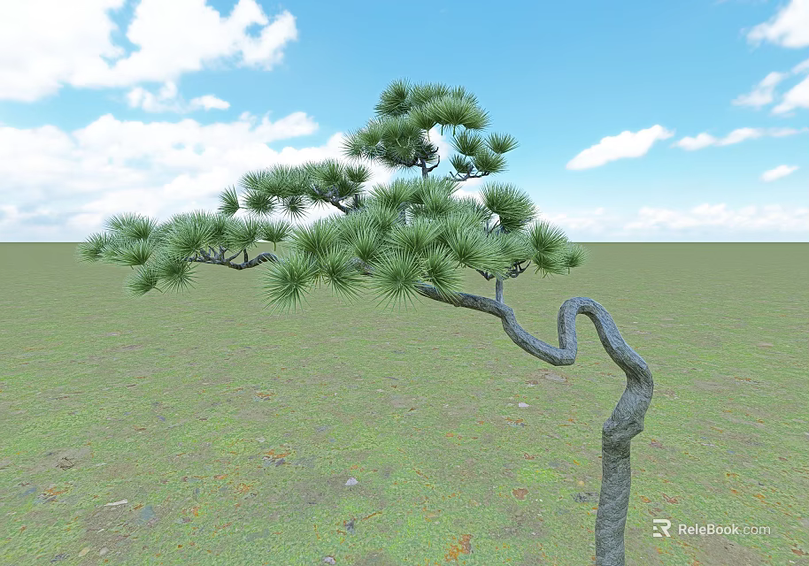 Scenic Pine Tree With Twisted Trunk And Green Needles Under Blue Sky In Grassland 3d model 