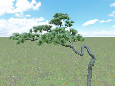 Scenic Pine Tree With Twisted Trunk And Green Needles Under Blue Sky In Grassland 3d model