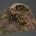 Decaying Old Tree Stump With Natural Texture Surrounded By Fallen Leaves And Grass 3d model
