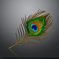 Peacock Feather With Vibrant Green Blue Orange Eye Pattern And Golden Quills