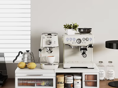 Modern Kitchen Storage Shelf With Coffee Machines Kettle Lemons Jars And Potted Plant 3d model