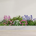 Vibrant Mixed Flowers in White Marble Planter with Pink Purple Blue Blooms and Green Foliage