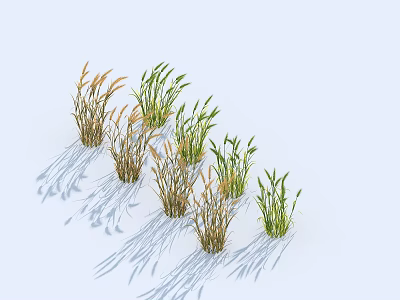 Green and Brown Grass Clumps Arranged on Light Background with Shadows 3d model