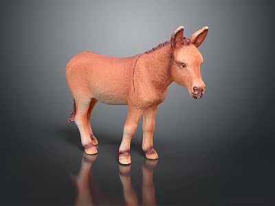 Realistic Brown Donkey Model Standing On Smooth Surface With Clear Reflection 3d model