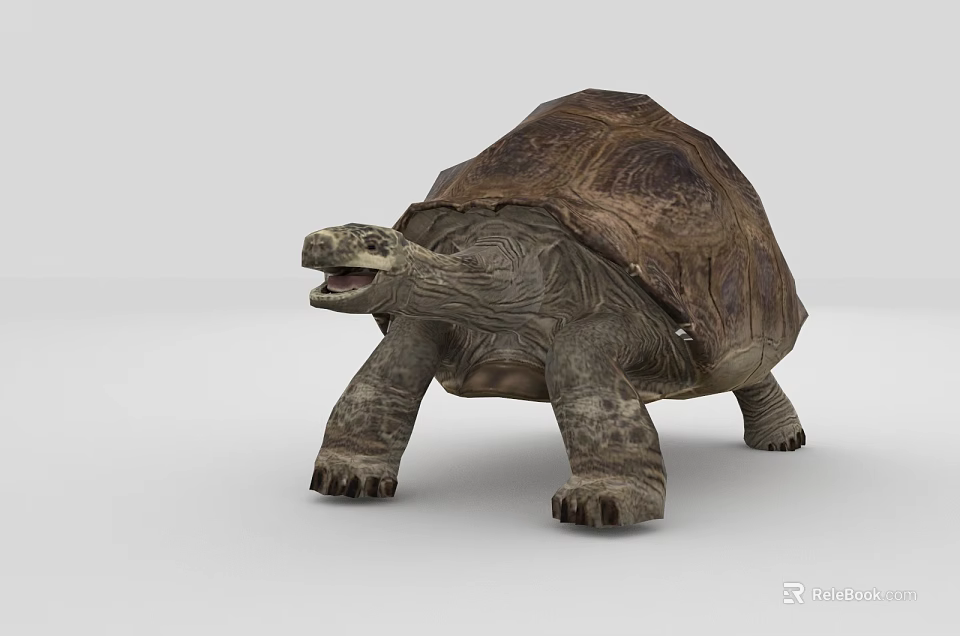 Sea Turtle With Textured Shell Open Mouth And Detailed Skin In Aquatic Habitat 3d model 