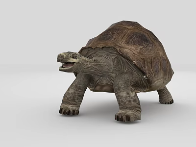 Sea Turtle With Textured Shell Open Mouth And Detailed Skin In Aquatic Habitat 3d model