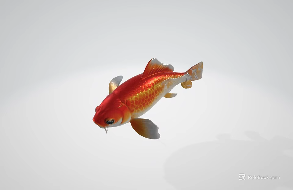 Vibrant Red and Gold Koi Fish in Graceful Swimming Aquatic Pose 3d model 