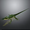 Green Lizard With Slender Body Yellow Belly Gray Background Long Tail And Visible Limbs