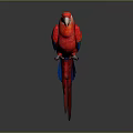 Modern Parrot Xuan Feng Parrot Budgie Shang Parrot 3d model