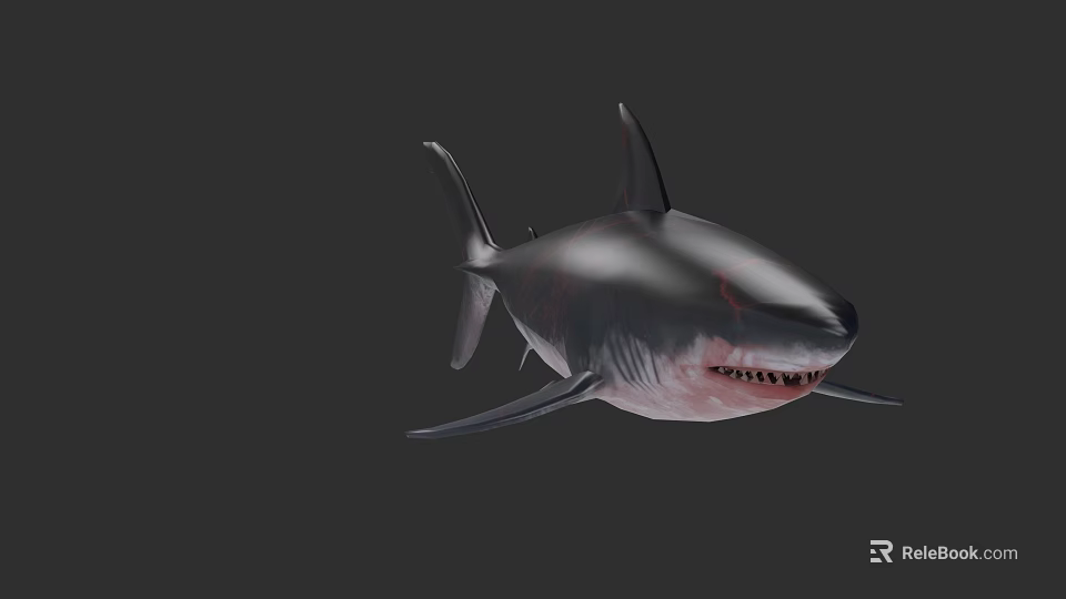 Realistic 3D Shark Model With Gray Black Body Sharp Teeth And Red Details 3d model 
