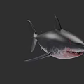 Realistic 3D Shark Model With Gray Black Body Sharp Teeth And Red Details 3d model