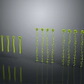Green Stick Insects Arranged in Two Rows with Different Heights and Gray Background Reflections 3d model