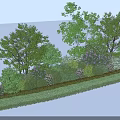 Diverse Flowering Shrubs In Garden Landscape With Green Hedges And Trees