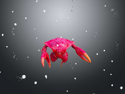 crab sea crab river crab hairy crab bread crab hermit crab big crab small crab marine animal fish 3d model