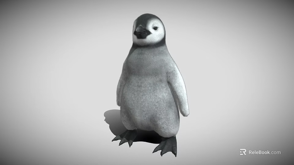 Baby Penguin With Gray Body Black Head And Black Feet Standing On Gray Background 3d model 