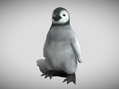 Baby Penguin With Gray Body Black Head And Black Feet Standing On Gray Background 3d model