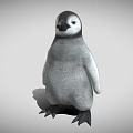 Baby Penguin With Gray Body Black Head And Black Feet Standing On Gray Background