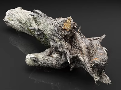 Withered Tree Trunk with Natural Rough Texture and Mossy Surface Features 3d model