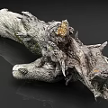 wood trunk branch stump 3d model
