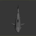 Realistic Shark Figure With Open Mouth Sharp Teeth And Gray Body 3d model