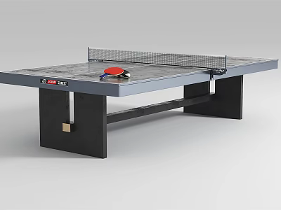 Sturdy Table Tennis Table With Net And Paddle As Sports Equipment 3d model