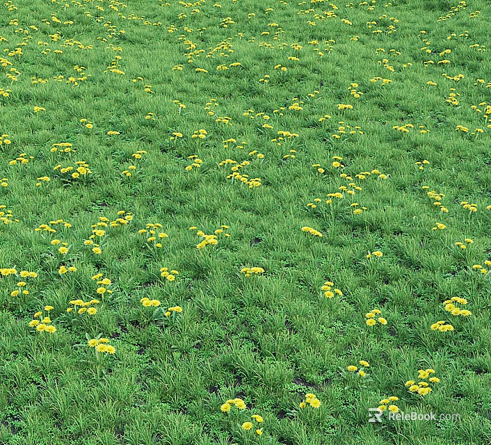 Lush Green Grass Meadow Scattered with Vibrant Yellow Flowers in Full Bloom 3d model 