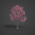 Various Types of Flowering Trees with Pink Blossoms and Green Foliage in Garden Landscaping Collection