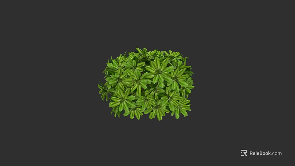 Green Shrub With Lush Green Leaves And Round Shape On Black Background 3d model 