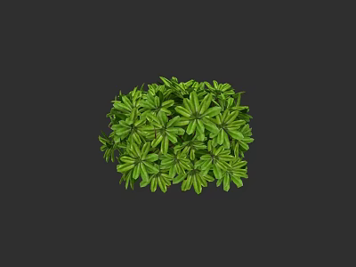 Green Shrub With Lush Green Leaves And Round Shape On Black Background 3d model