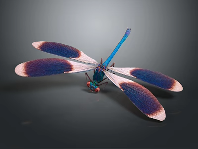 Vibrant Dragonfly With Blue Body Red Eyes Purple Pink Gradient Wings On Dark Gray Background 3d model