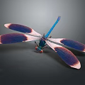 Vibrant Dragonfly With Blue Body Red Eyes Purple Pink Gradient Wings On Dark Gray Background