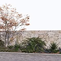 Garden Scene With Tree Orange Leaves Green Shrubs Agave And Purple Flowers By Stone Wall