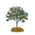 Decorative Tree Pit With Green Tree And Orange Plants In Garden