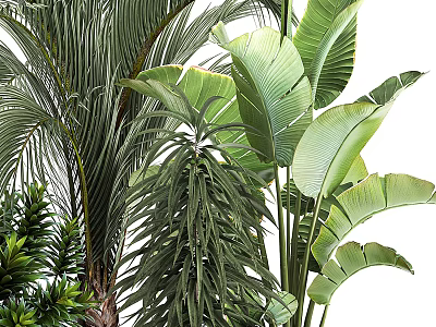 Bonsai Potted Plants Featuring Lush Green Tropical Leaves For Indoor Decoration 3d model