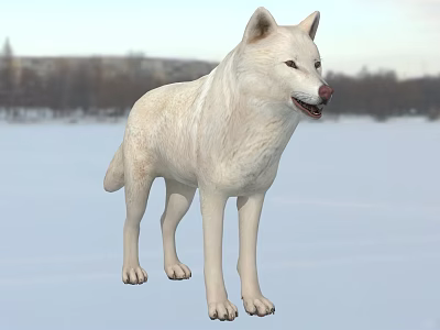 White Reptile Standing In Snowy Landscape With Bare Trees Background 3d model