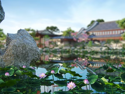 Chinese Lotus Pond 3d model