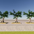 Lush Green Arbor Trees with Textured Trunks in Square Flower Beds Under Blue Sky