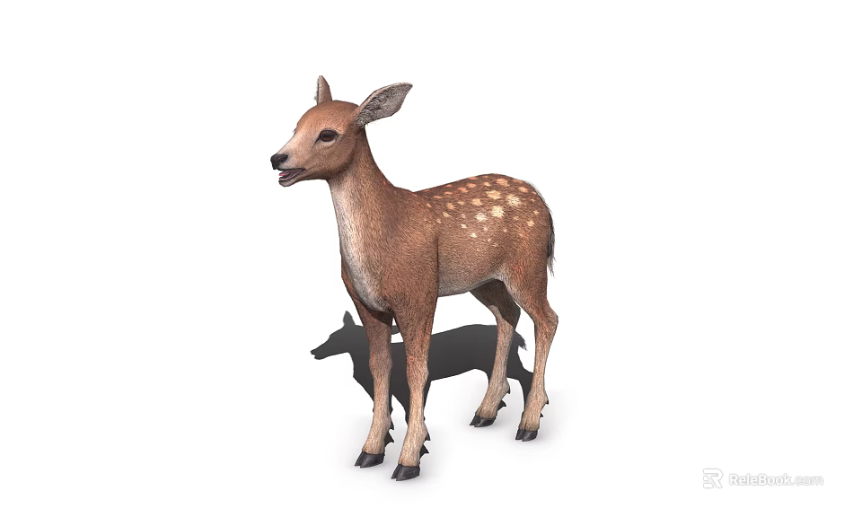 Cute Brown Fawn With White Spots Standing On White Background 3d model 
