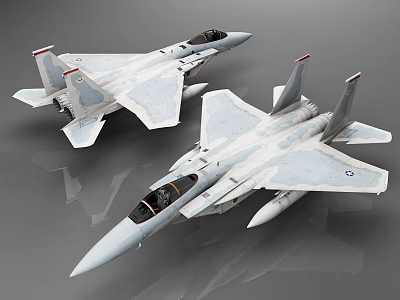 Detailed Military Fighter Jet Models In Gray White Camouflage With Cockpit And Missiles 3d model