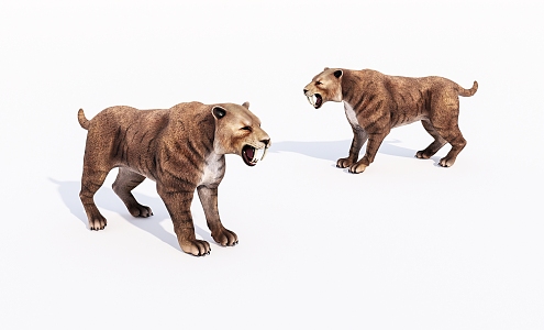 Animal saber-toothed cat 3d model