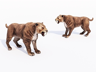 Animal saber-toothed cat 3d model