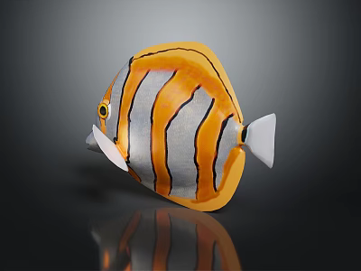 Colorful Butterflyfish with Orange Gray Body and Black Stripes on Dark Background with Reflection 3d model