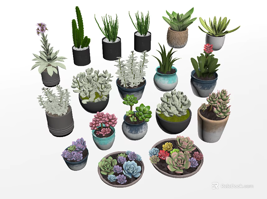 Variety of Bonsai and Potted Plants with Succulents Cacti and Colorful Ceramic Pots 3d model 